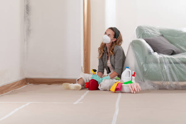 Reliable Mold Cleanup contractor in Surry, VA by Cheap Mold Removal